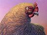 Portrait of a Hen